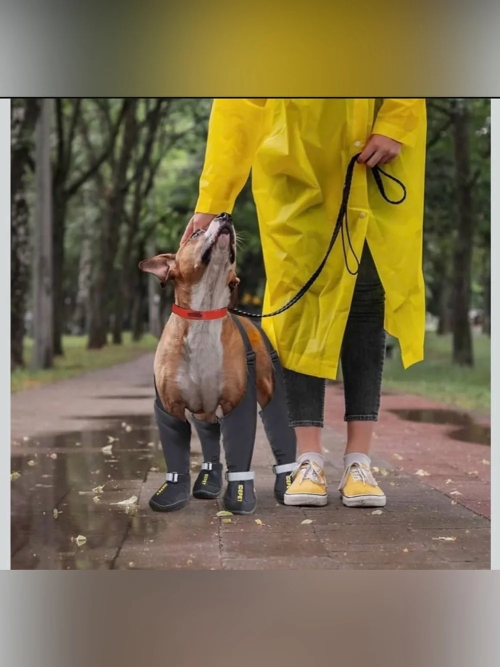 Idepet Dog Suspender Boots, Anti-Slip & Fall Waterproof Tall Shoes Legging for S